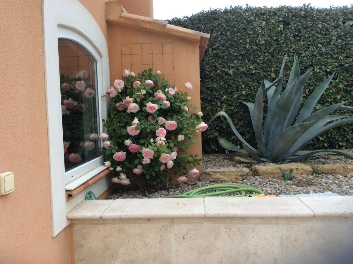 Les Lavandes Bed and Breakfast Alleins Buitenkant foto